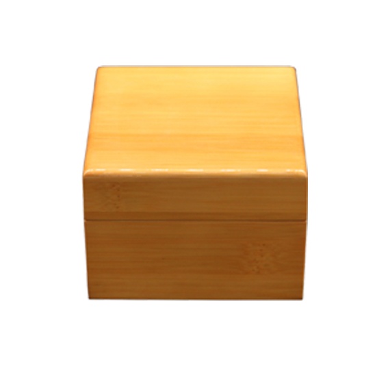 Bamboo Watch Box